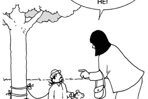 3kinderopvangweb